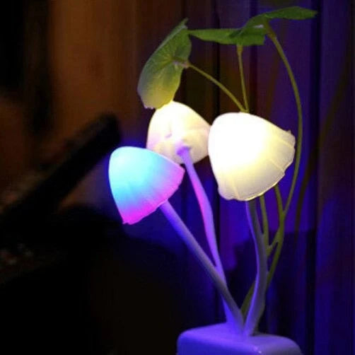 Mushroom LED Sensor Light Night Lamp - MARKAZX MART